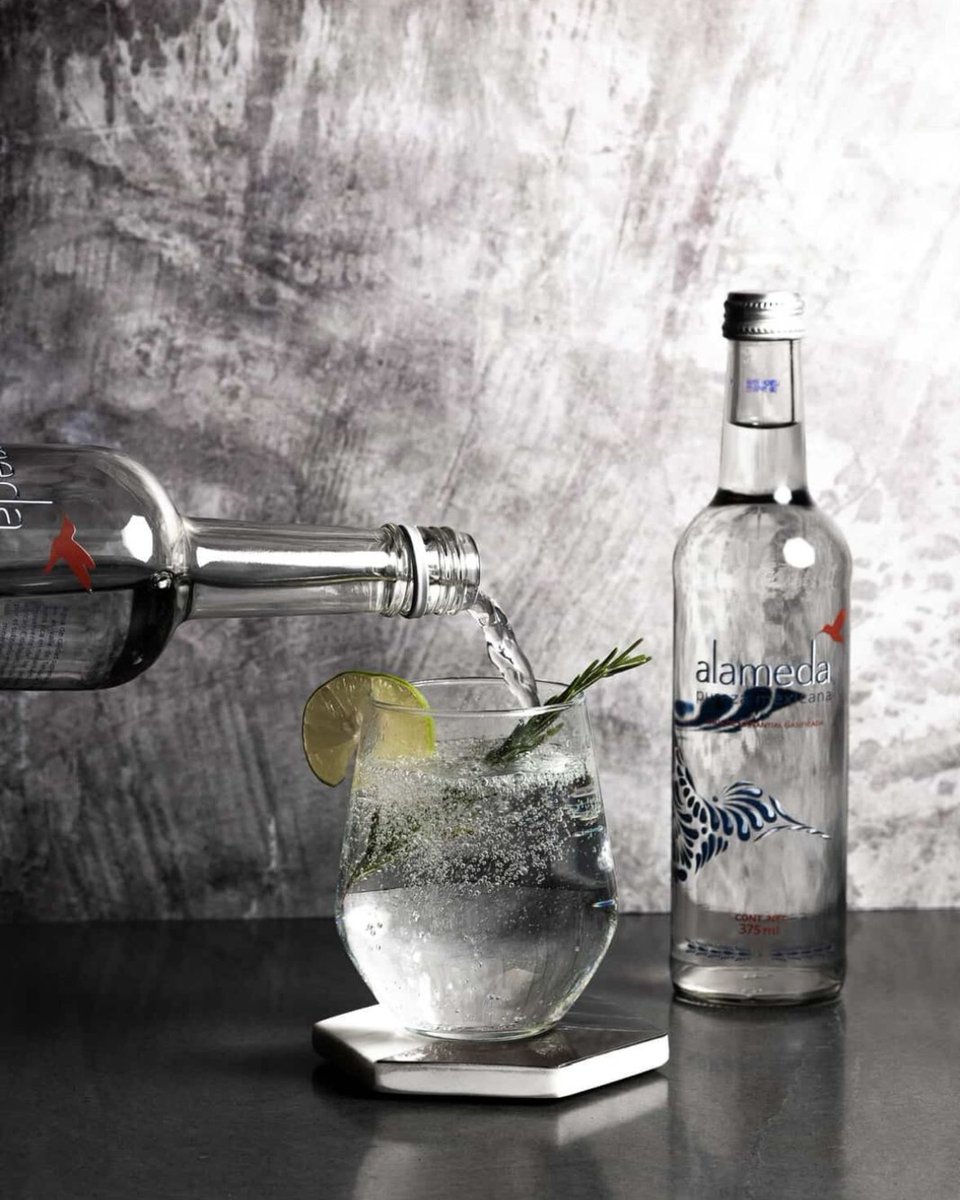 Nada mejor que rodearnos de aliados que entienden el valor de la comunidad y el impacto social. Gracias <a href="/aguaalameda18/">Agua Alameda</a>  por sumarse a nuestra Gala Anual con causa. 💙 💖

#AguaAlameda #PurezaMexicana #Manantial