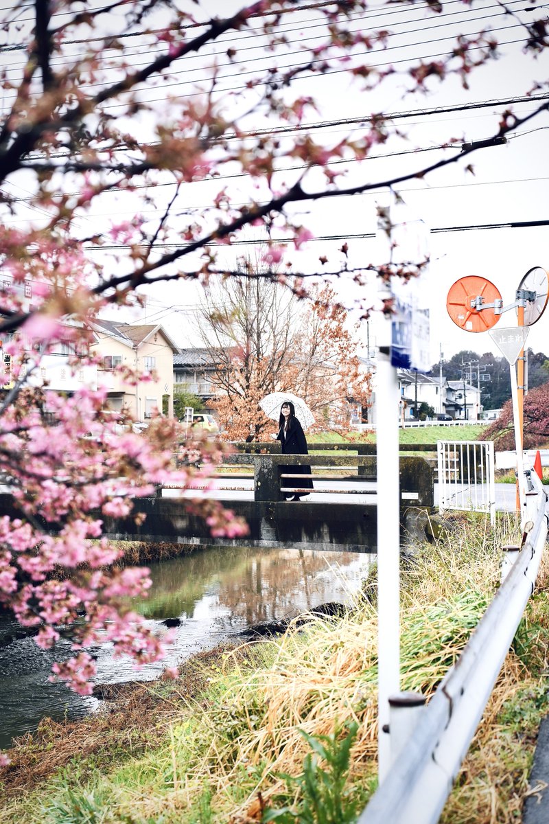 はち🐲 (@hachi2525) / Posts / X