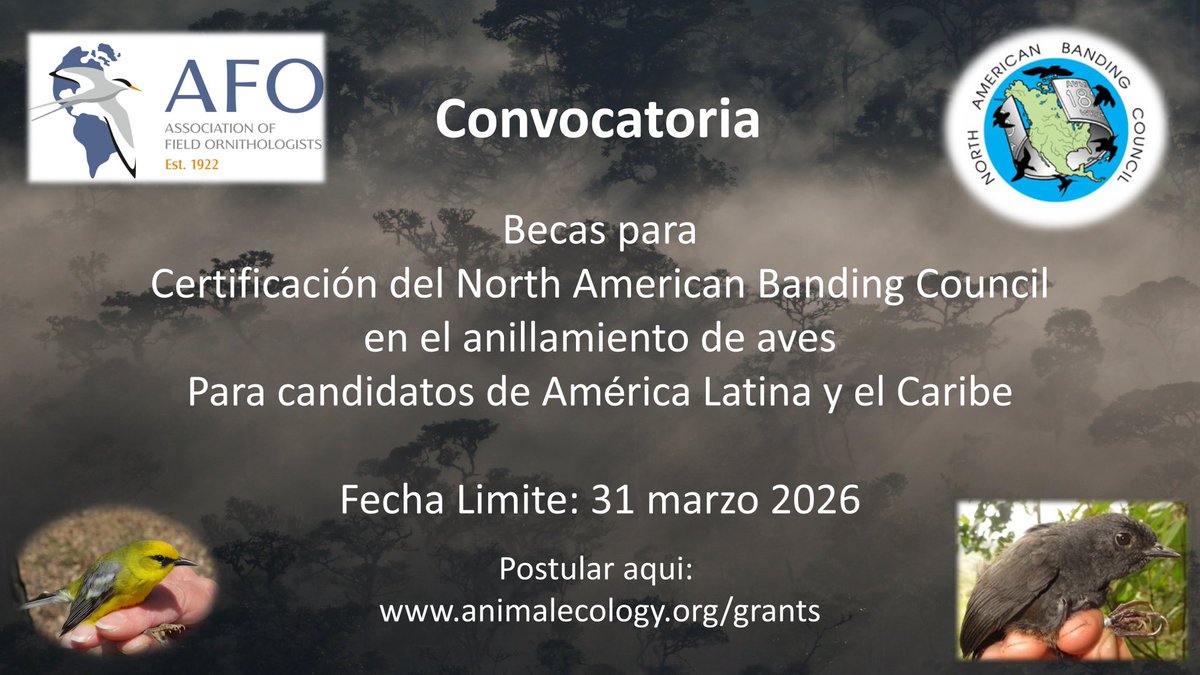 Miguel Moreno-Palacios tweet media