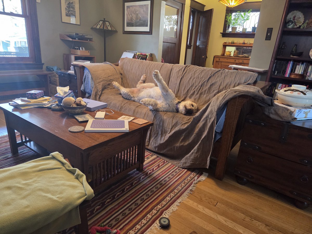 JonCFerguson3's tweet photo. @PhilSledge Harry at peace. https://t.co/dFJeUl5wui