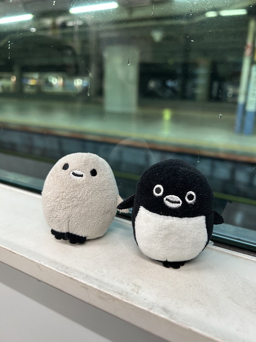 RT @pencard5050: 早朝からSuicaのペンギンとお出かけ