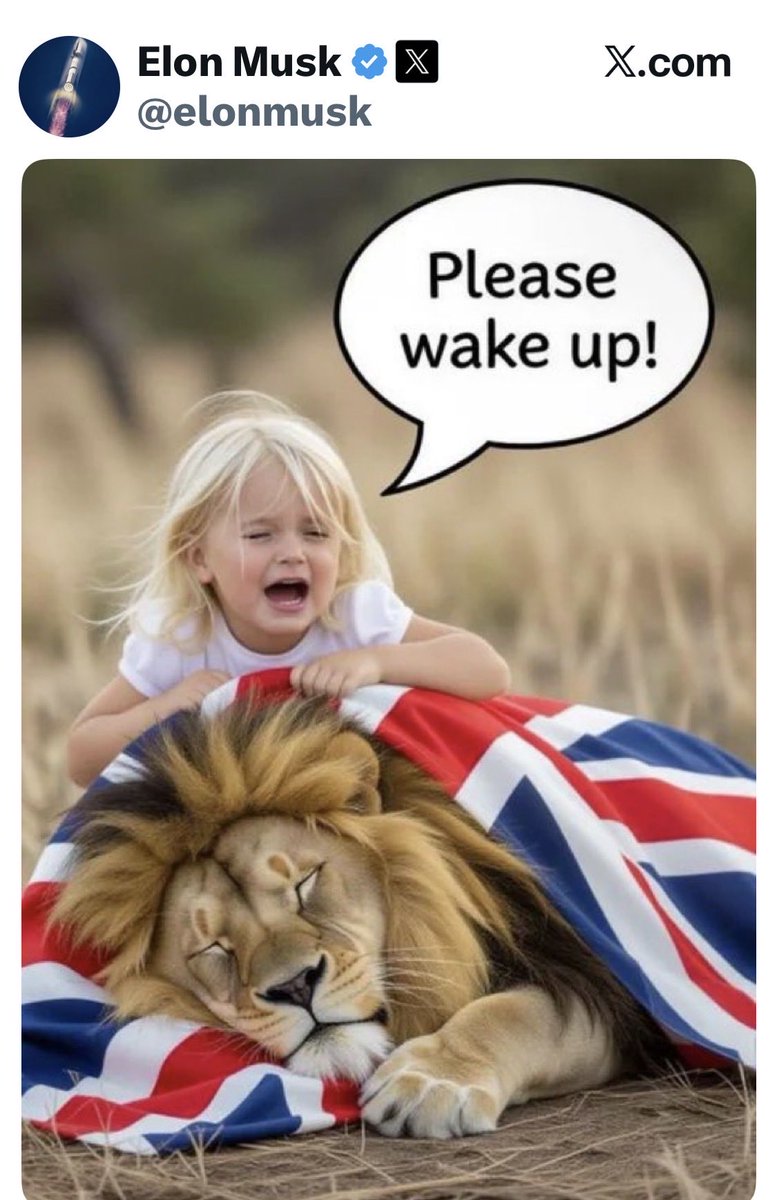 essexgeezer tweet media