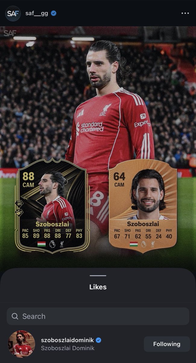 SAF Goose tweet media