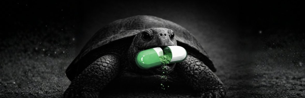 BMocas15381's tweet photo. Good evening 

My name is Bmocas, a fighter trying to escape and break the matrix. 😀

I’ve been appointed as a moderator in this beautiful community.

I’m going to be honest about the situation, i know we are at low MC 

BUT YOU KNOW WHAT? FUCK THAT SHIT

You know why?

Think carefully about the narrative we have in our hands. The turtle represents the journey of any one of us in the trenches.

We start with little, try to be fast and impulsive, but we also quickly realize that we’re going to witness almost 1–2 hundred years in some cases.

Of course, we humans don’t have the possibility of living all those years, but if we really think about it, deep down we’re the same: we witness and suffer many defeats in life, we try to force a victory and don’t achieve it.

Fortunately, with so many defeats and years of experience, we ascend to a level of cosmos, wisdom, and social superiority.

“Slowly and alone we achieve what we would never achieve accompanied and rushed”

It reminded me of $PENGUIN (@NietzscheanSol_) 🐧

Alone and focused on his journey

The turtle is the same — it only has one focus in life, and we reach a moment in our own lives where the same thing happens to us.

All the true, long-lasting narratives that ran astronomically — like $Popcat, $Wif, $Moodeng, $Pnut, $Troll, $pepe, $michi, $giga, $fwog and many more — only had the path they had because they had a unique narrative that was easy to go viral, but above all, they had a community behind them supporting at every moment and every goal.

And now you say:

“Ah but they had funds for marketing and it was different times in the trenches”

Yes, I agree with you, but…

Think carefully: what was the real key to the success they still have today?

Ask yourselves that question.

The answer?

THE TRENCHES TODAY NEED MORE BAGWORKERS AND TRUE BELIEVERS AND COMMUNITIES

Did the truth hurt?

Swallow it — it hurts less.

I’m not a poet,

I’m a turtle walking my journey slowly! 🐢

With lots of love, Bmocas 

$Ferociter