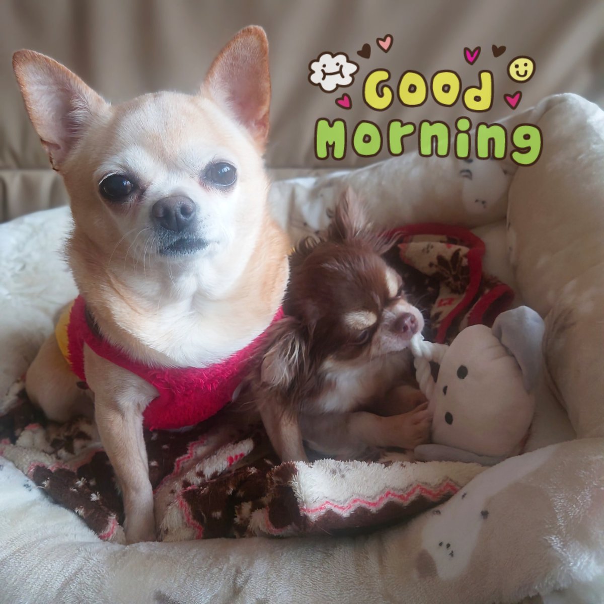 おはようございます(๑́⌯ꇴ⌯)ﾉ❄
今日は仕事定休日…でも祝日㊗️…何となく損した気分になるのは何故でしょうね😂笑
まぁ､ゆっくり身体休めます‼️

リクエスト🙏
#RyuMatsuyama / In my head

#カツモニ