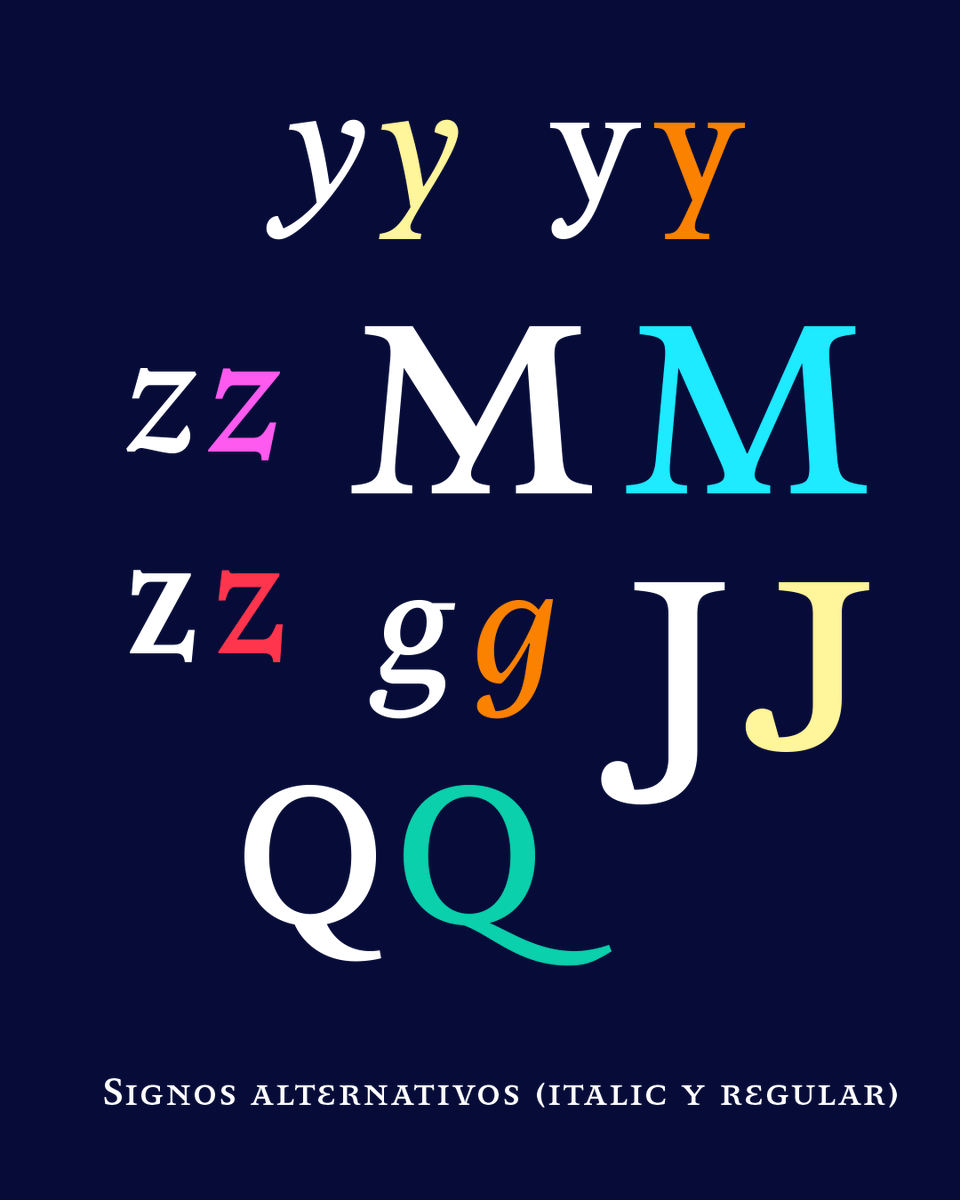 Omnibus-Type tweet media