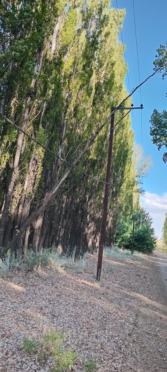 EPEN Neuquén tweet media