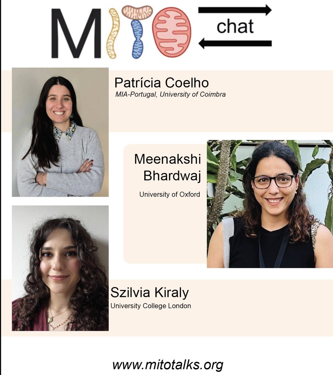 MITOtalks tweet media