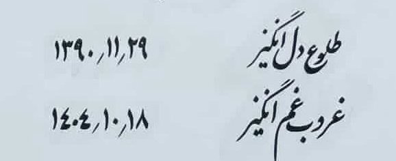 موژی tweet media