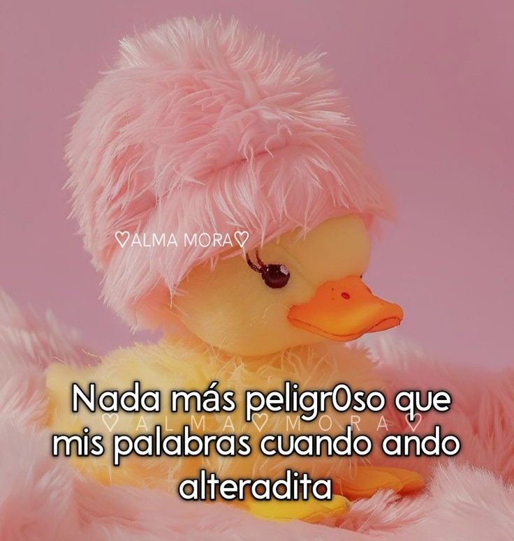 Pkittass's tweet image. 