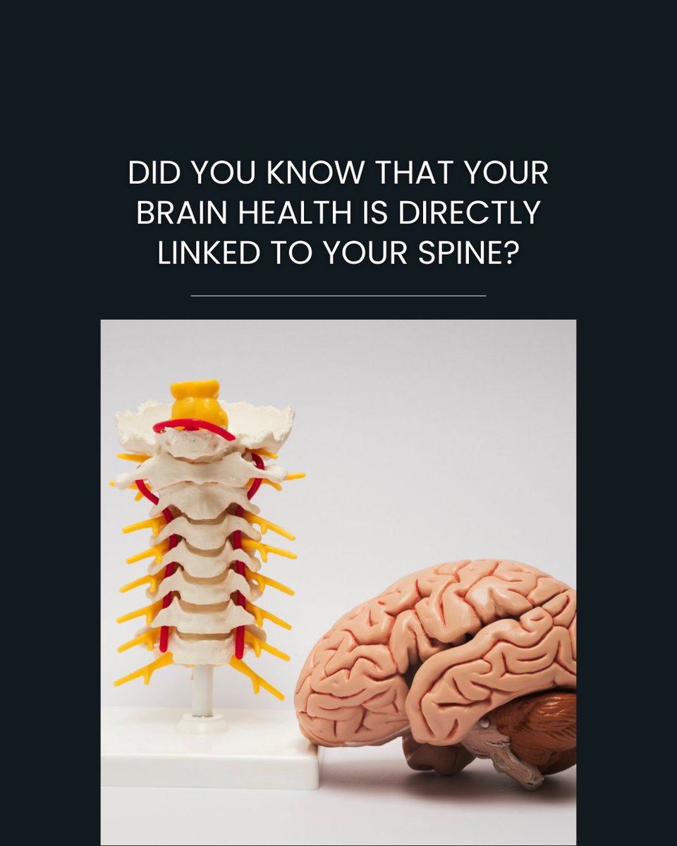 Ang Ribaste tweet media