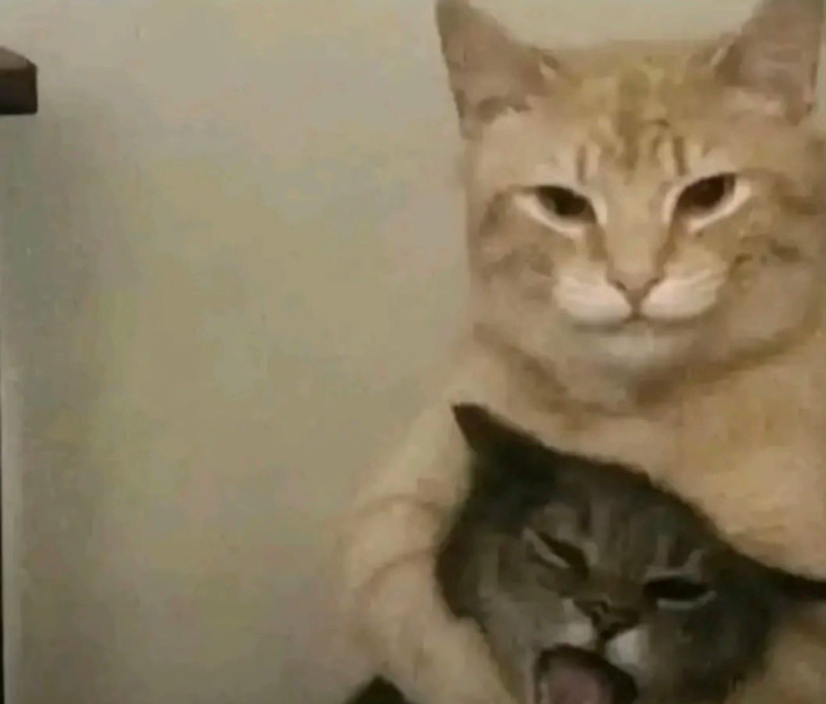 davepiojos's tweet image. doing this to oomf