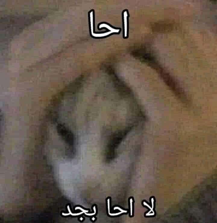 M tweet media