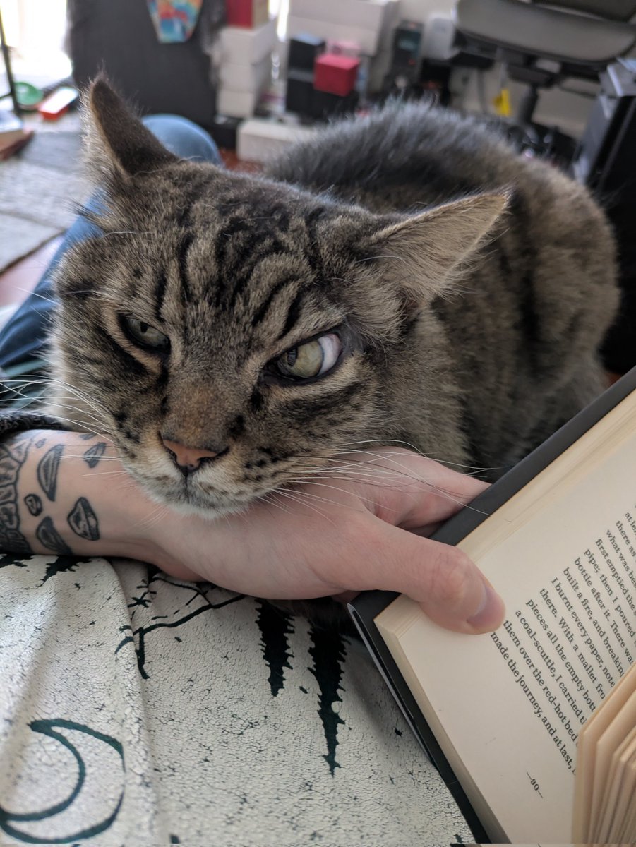 Beefaroni & Marvin 🍖 tweet media