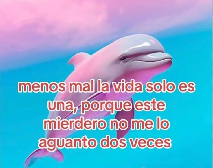 Pkittass tweet media