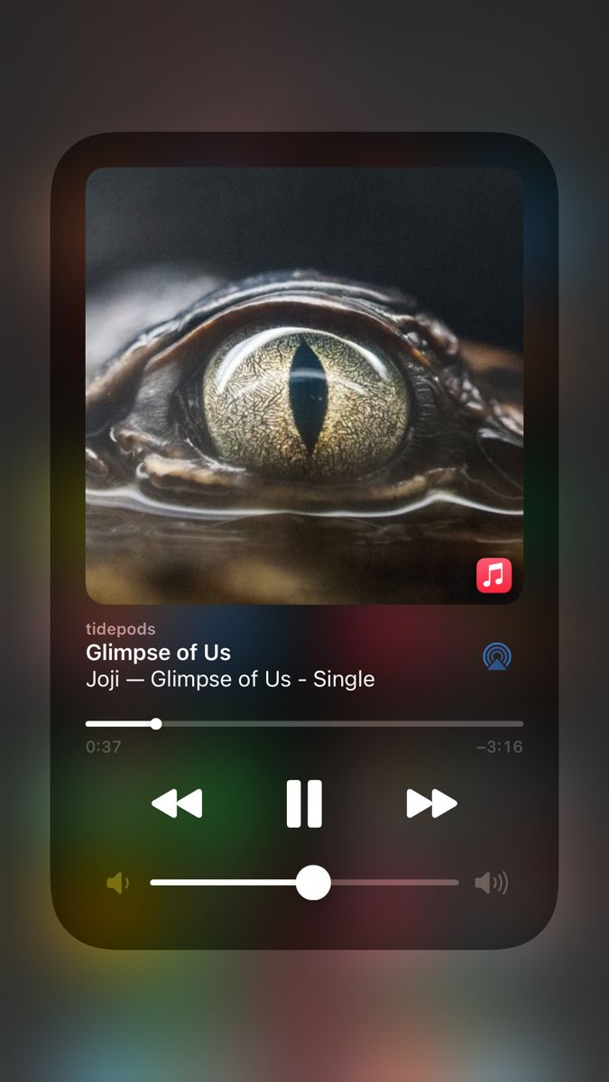 for those of you asking for the song, this is it "glimpse of us" by Joji. Handsdown one of the greatest heartbreak songs ever written.