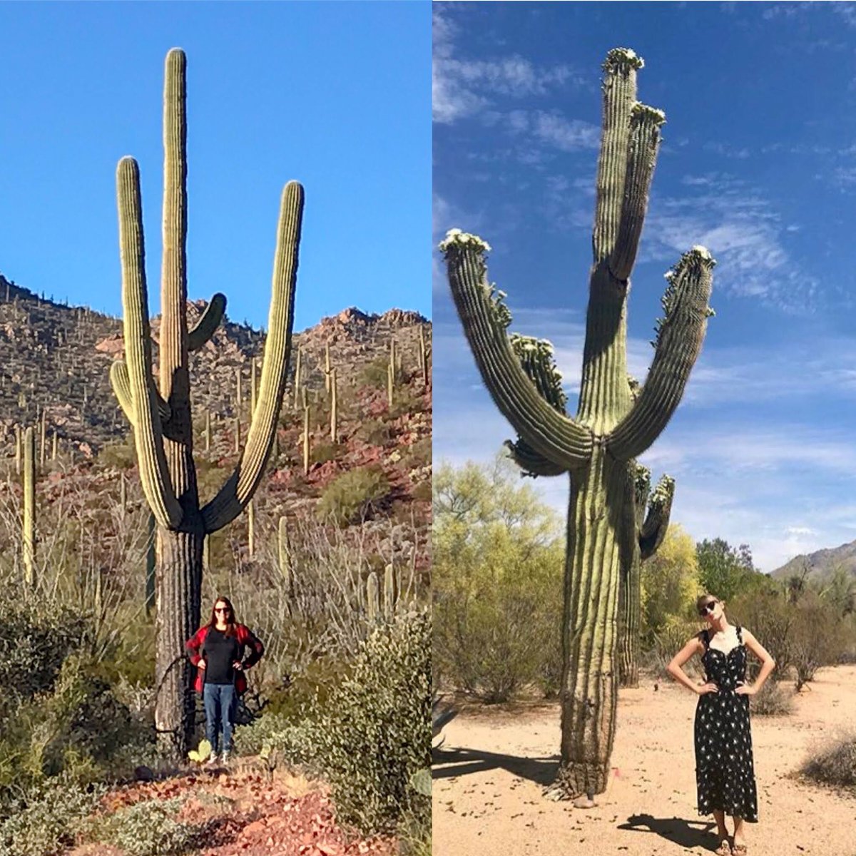 Amanda 🌸 tweet media