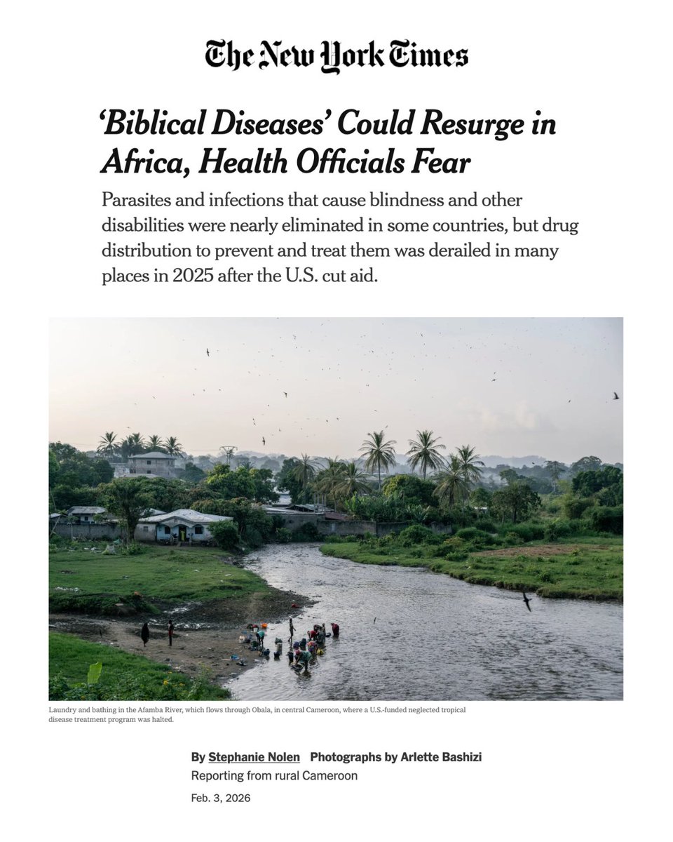 Global Health Strategies tweet media