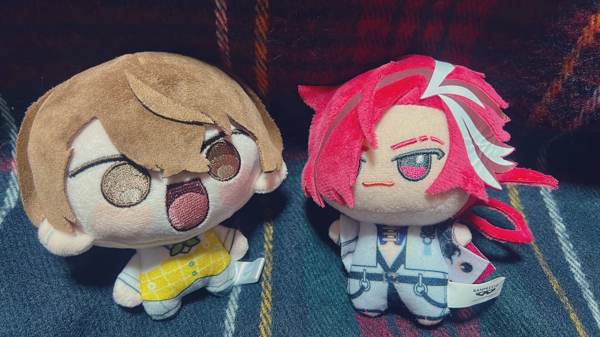 こーさき (@37lalalaxxx) / Posts / X