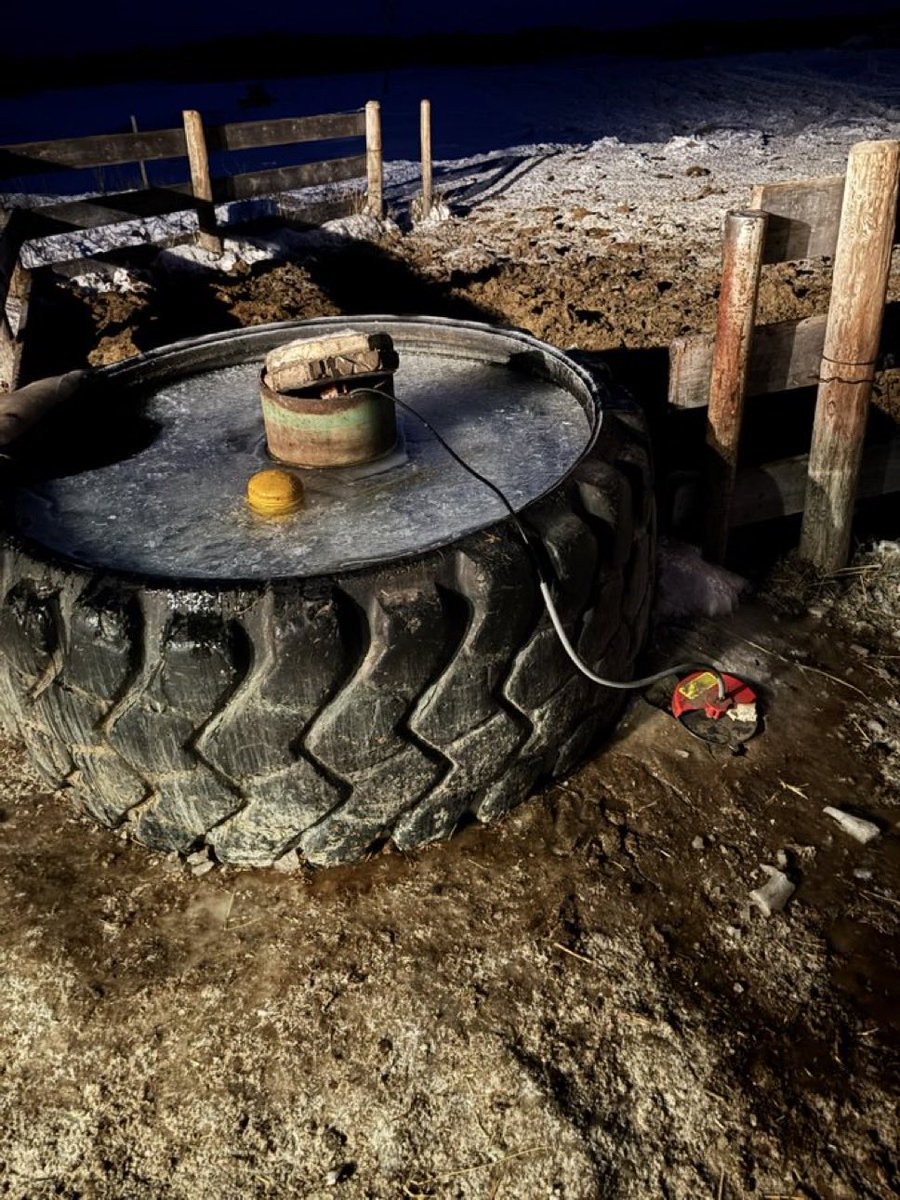 Mitch Stuart tweet media