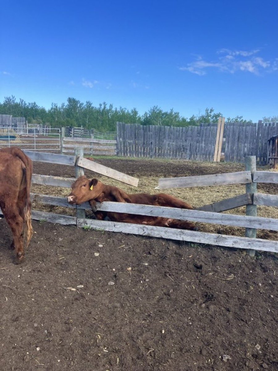 Mitch Stuart tweet media