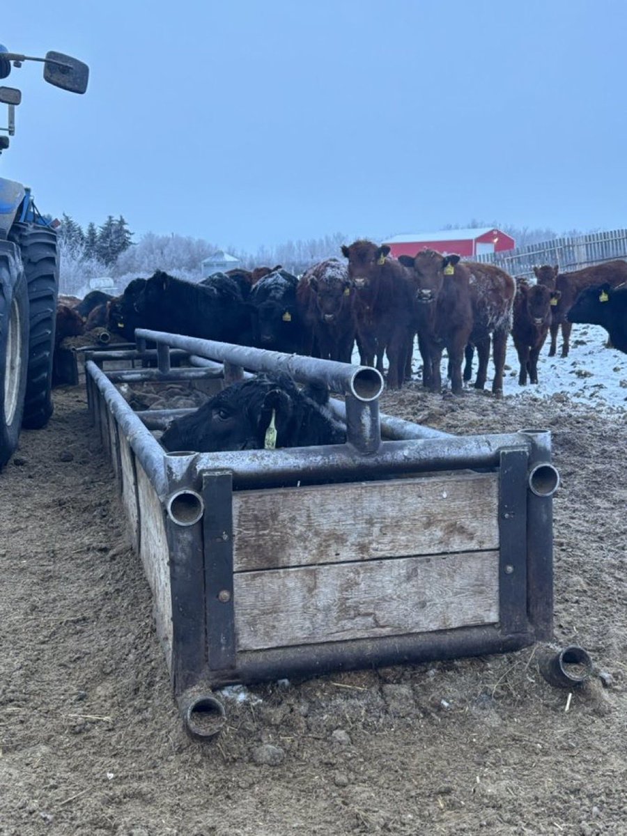 Mitch Stuart tweet media