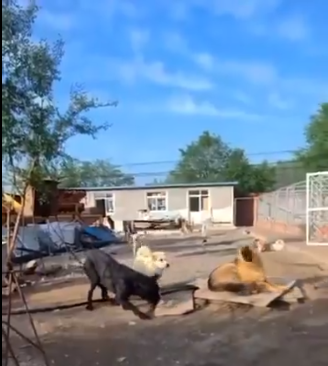 Hasta reverencia le hacen al tipo