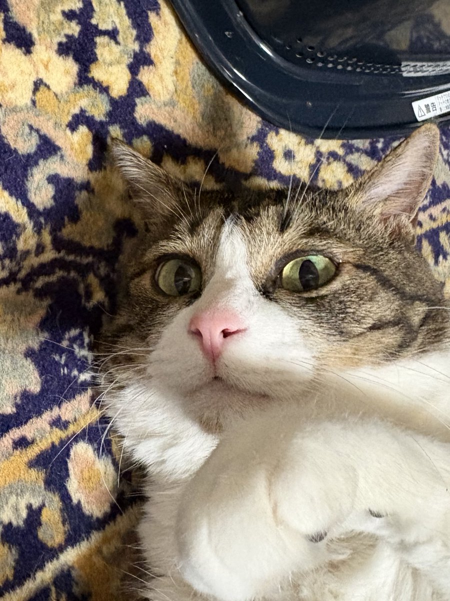 よろしくぜー💪✌️