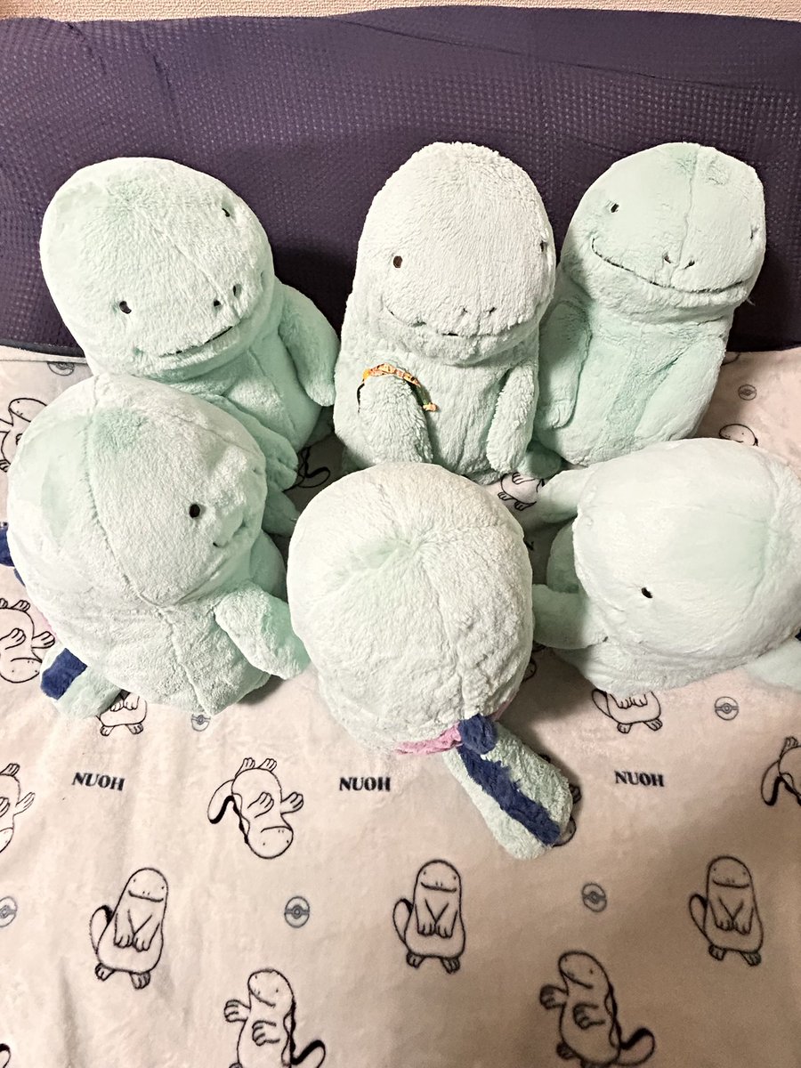 おはようございます☔️
せっかくのお休みなのに雨の朝です🌱🌿🥯
ポケふた行こうかなと計画してたんですが雨なので今度の連休に変更🥺
常滑のポケふたに22日に行きます😊
最近は仕事終わると腰が痛くてXも見るだけに👀
でもみんな元気ですぬ🩵