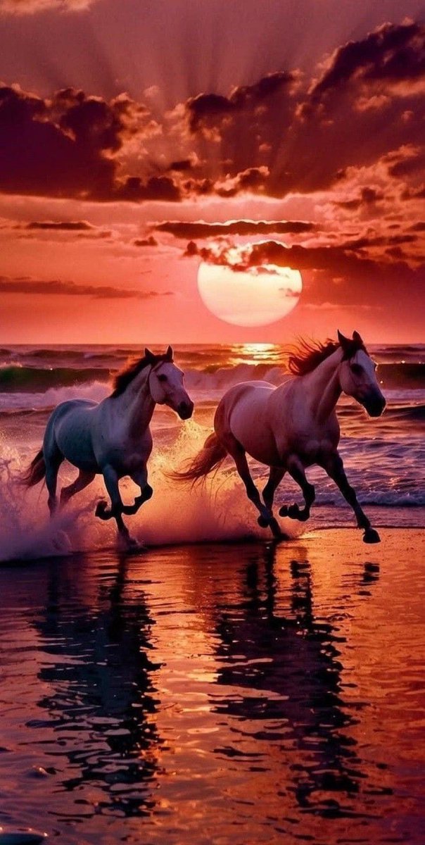 دعاء الفجر 
اللهم إني أشهدك أنني أصبحت منك 
في نعمة وعافية وستر 
فأدم سترك و أفتح لي من أبواب الخير 
والرزق والبركة  يارب
معتز الكويتي