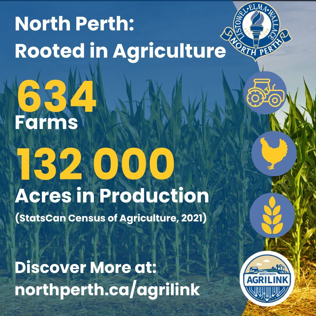 North Perth tweet media