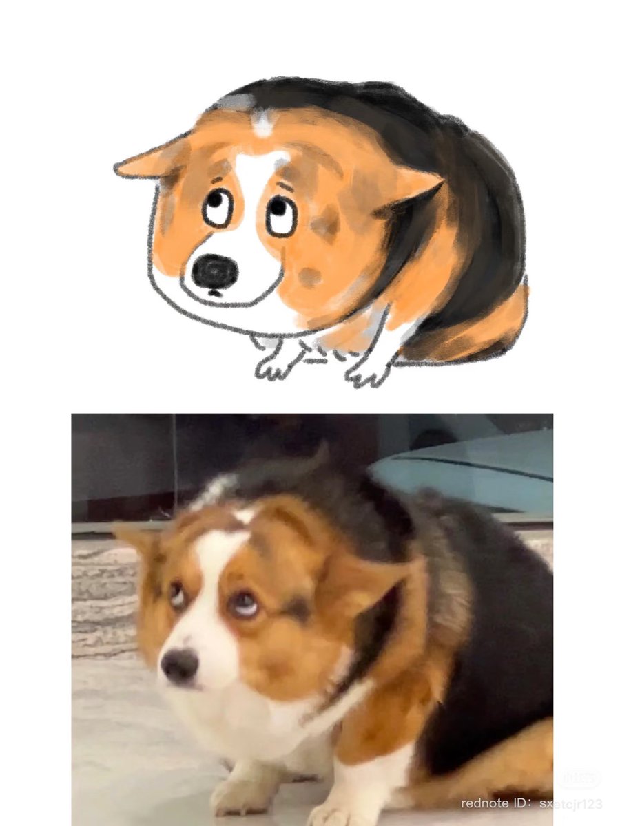 💖 (@twaniimals) on Twitter photo 