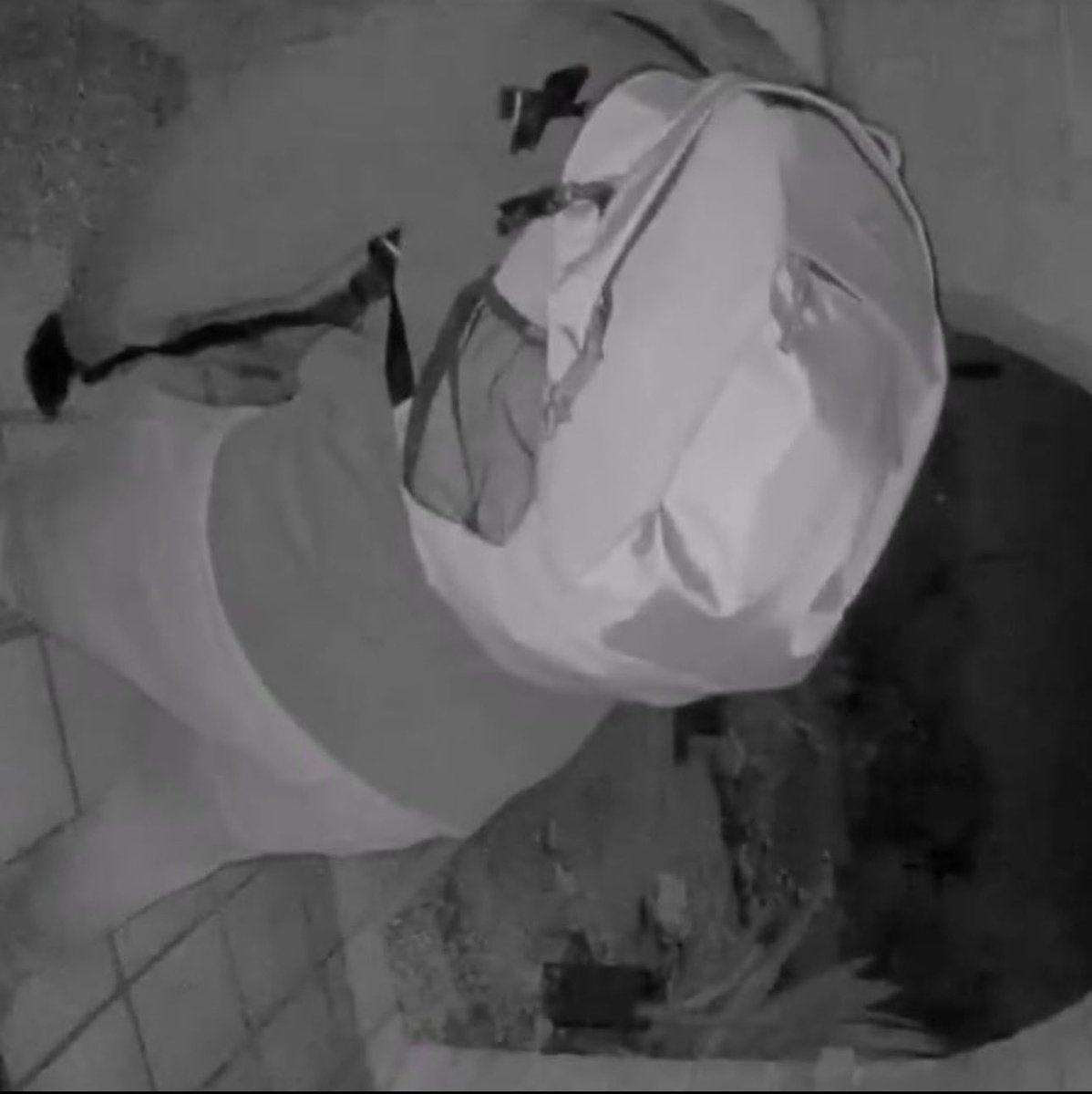 GTinvestigates's tweet photo. Take a close look at the backpack shown in the surveillance footage from Nancy Guthrie’s home.

Do these look similar?

@FBI @NBCNews https://t.co/mxnoRkNXfJ