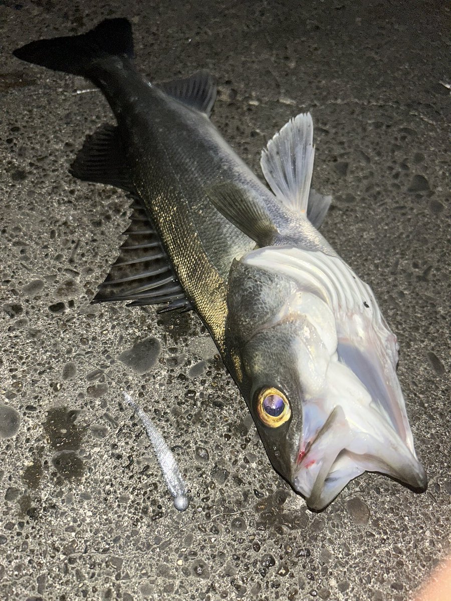 ANZYE (@anzye96) / Posts / X