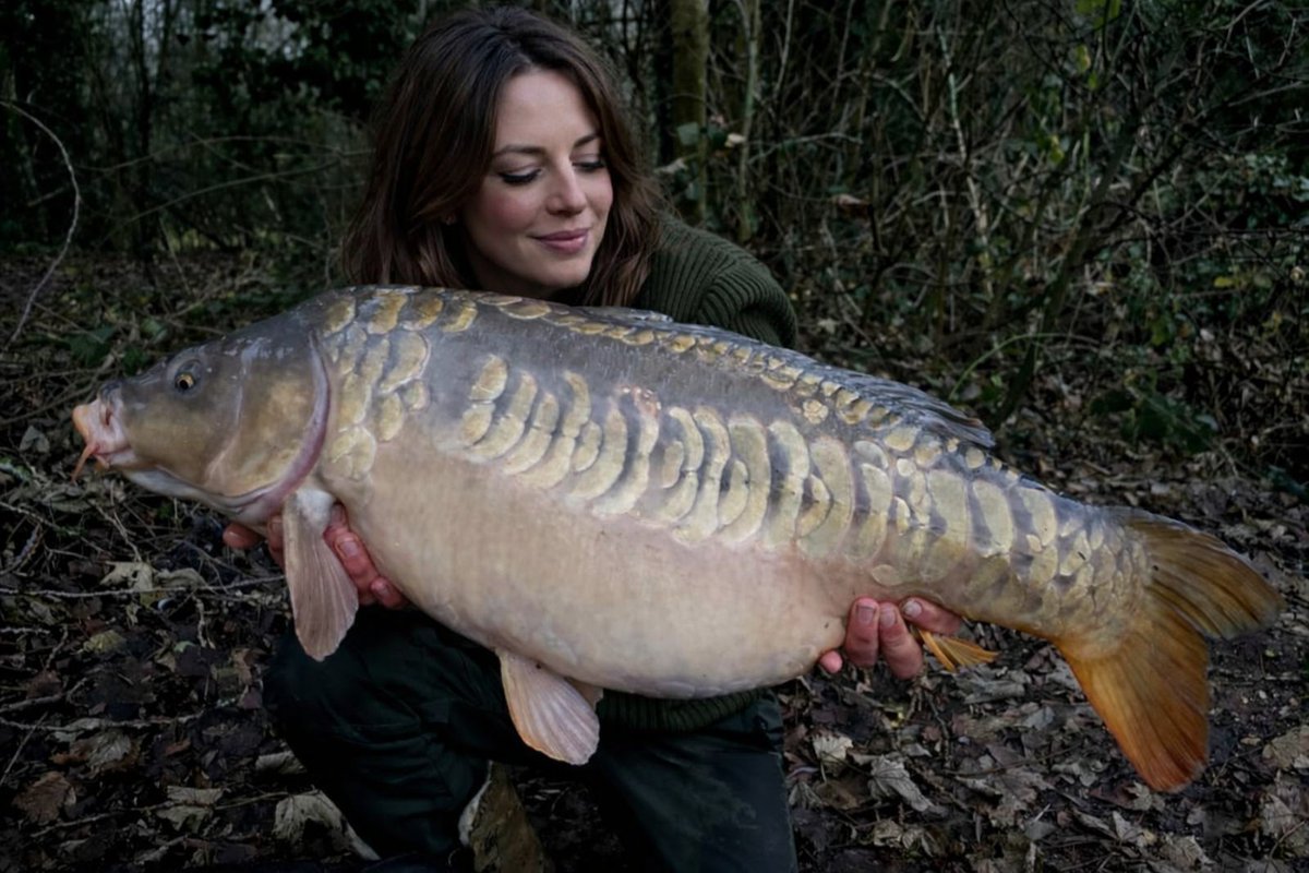 TenFishOfficial's tweet image. One sent in to us by Christina Read, cracking mirror from Horcott Lakes, unfortunately she hasn't had much luck this year so far with plenty of blanks under the cards. We hope your luck changes soon

#mirrorcarp #fishing #carp