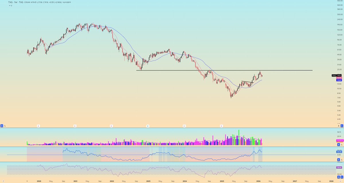 1Day1Chart's tweet photo. $TXG https://t.co/zxIjKDfNvN