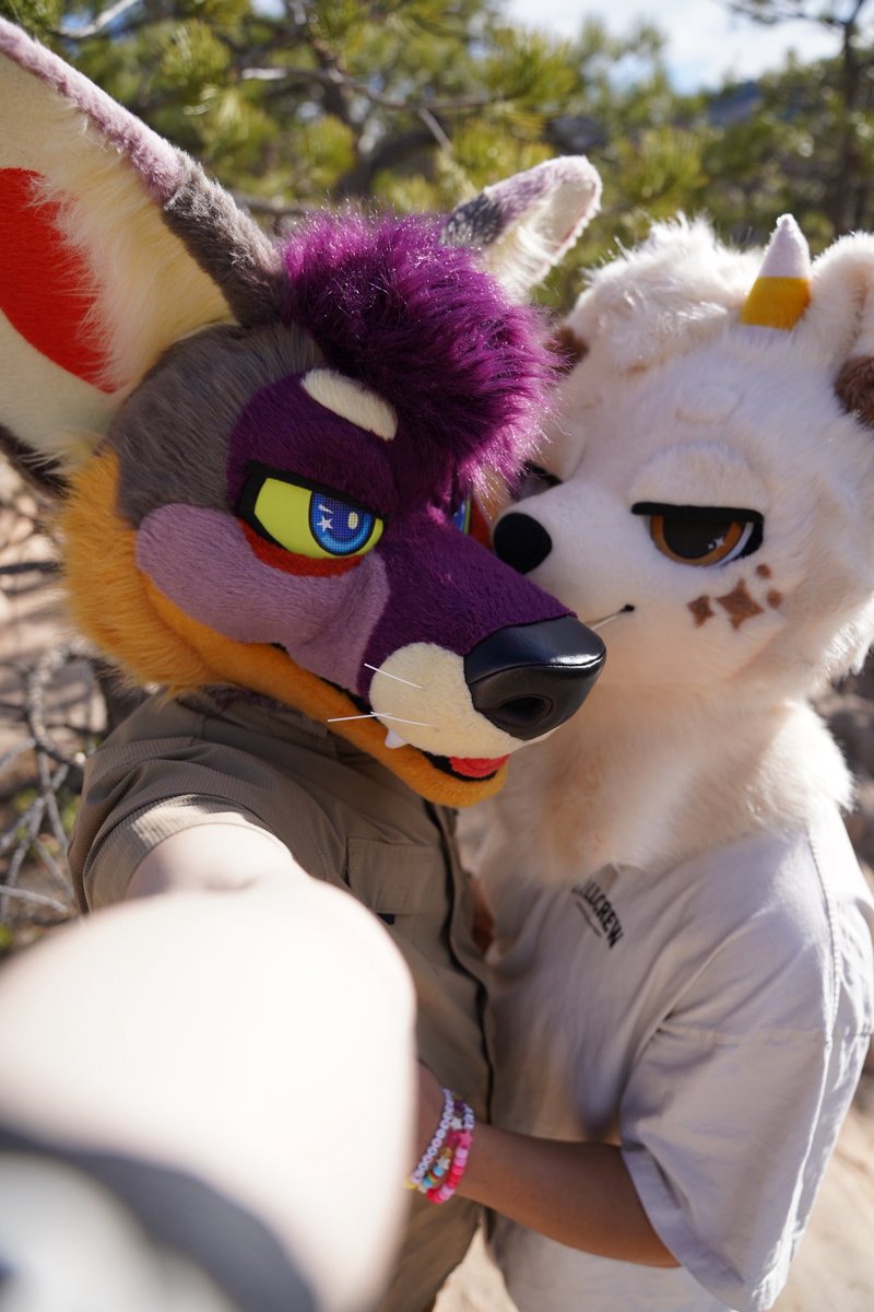 芒果 • Mango 🥭 tweet media