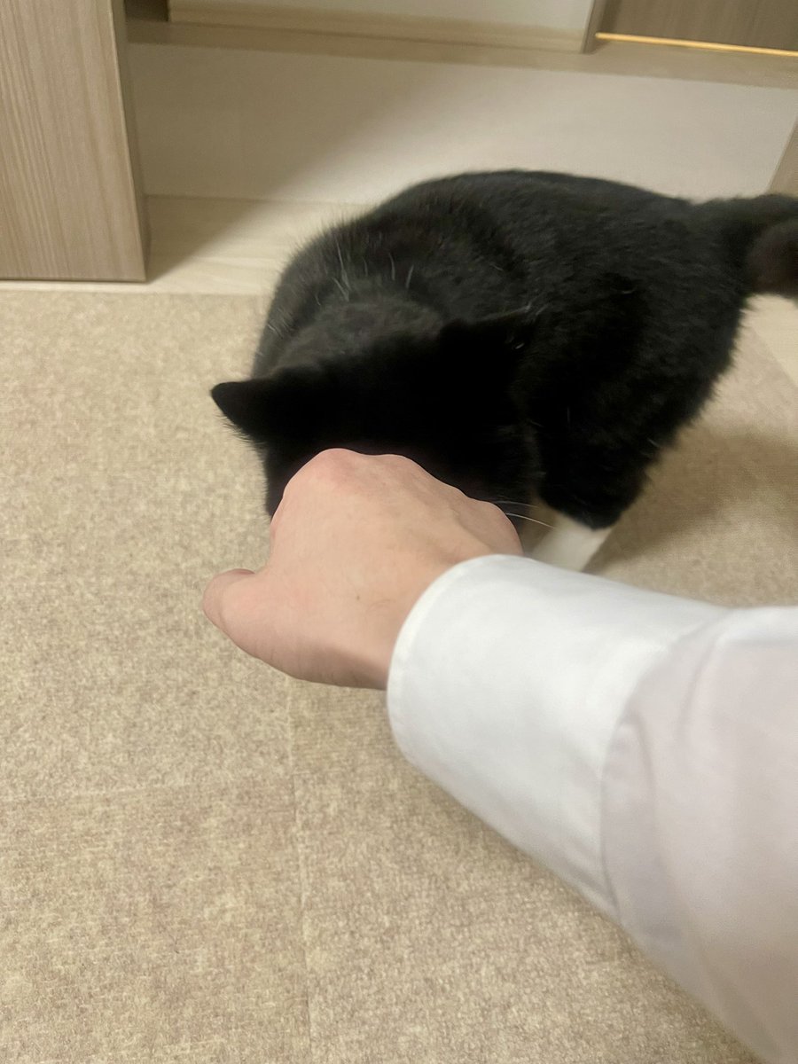 たろう (@taro20216) / Posts / X