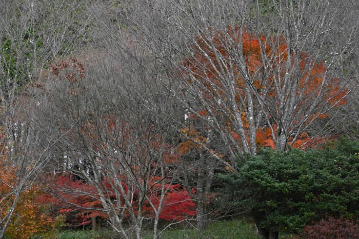 Jiyoung Mi-Sook tweet media