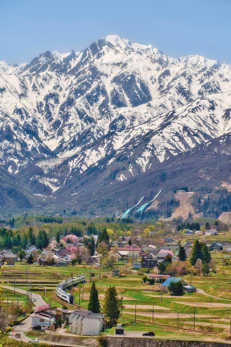 Jiyoung Mi-Sook tweet media