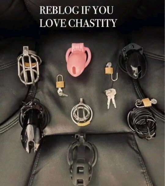 Chastity4u💋 (@bestchastity4u) on Twitter photo 
