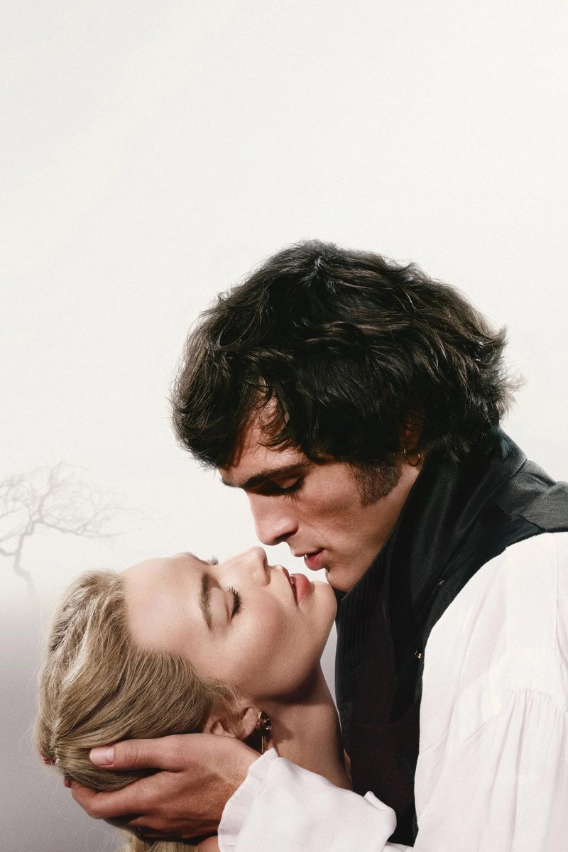 Culture Crave 🍿 tweet media