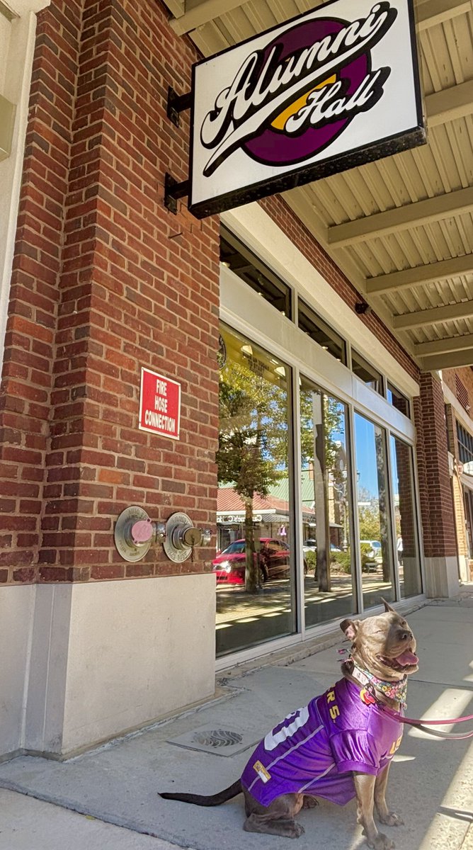 Alumni Hall LSU tweet media