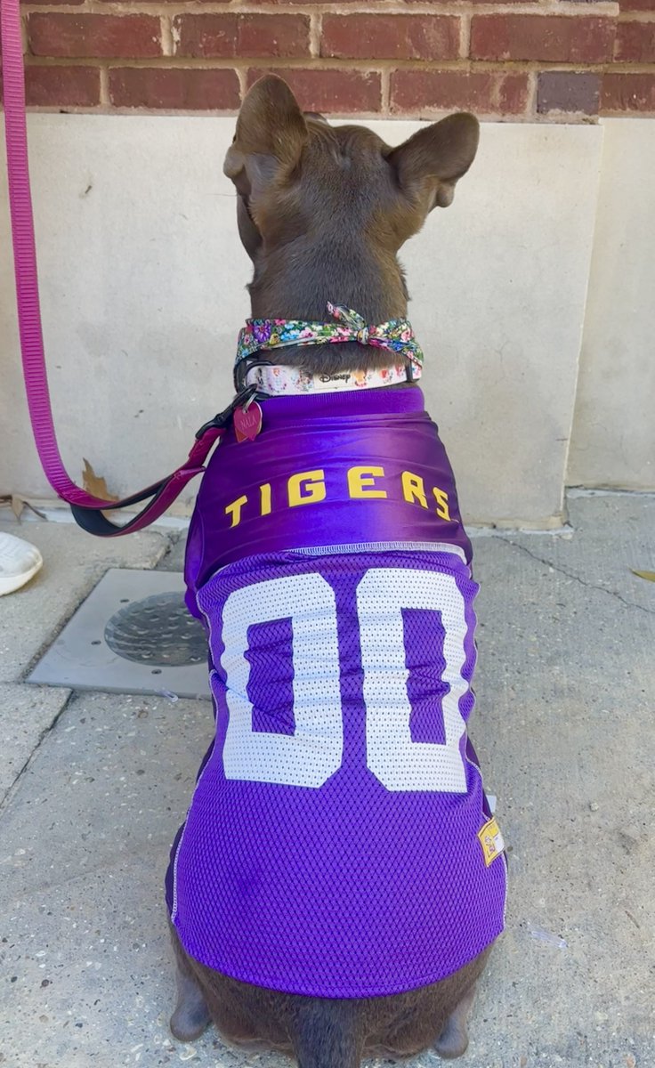 Alumni Hall LSU tweet media