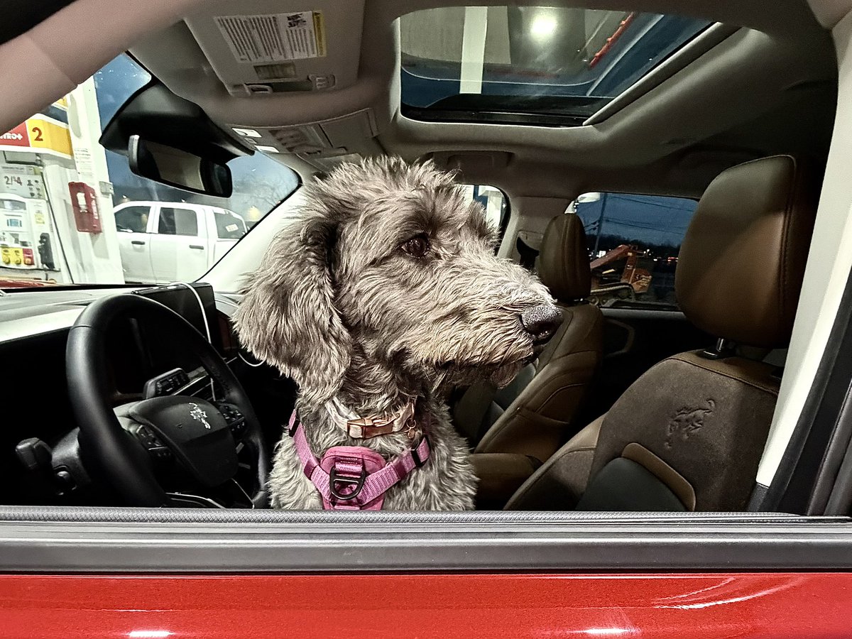 KrisFreemanPA's tweet image. Oh, so it’s 70 degrees you say… #goforaride #windowsdown