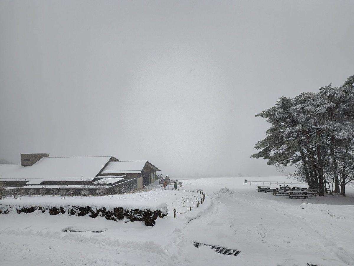 ∠いわし (@iwashi_77) / Posts / X