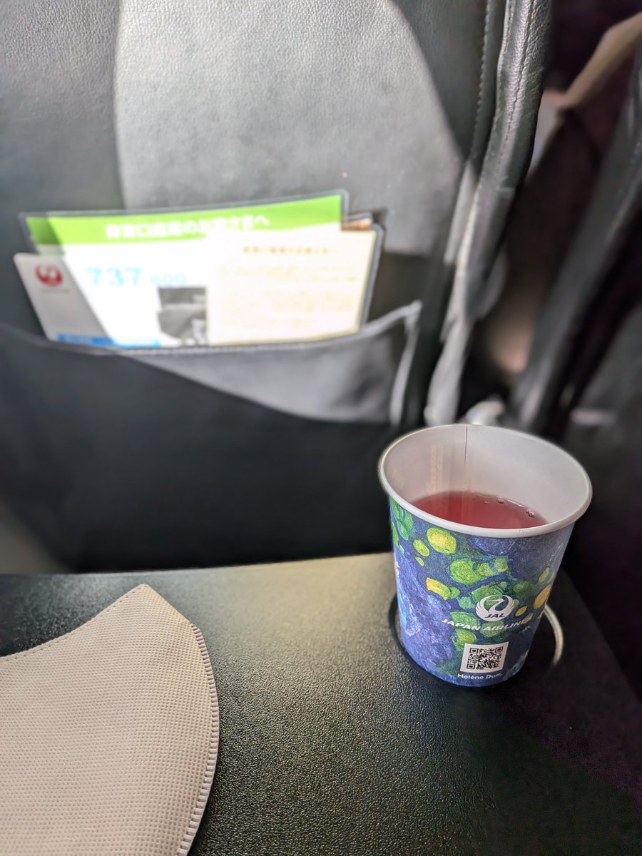 2026/02/11 🟥JL491 HND-KCZ ✈️B738 高知空港のKCZって覚えにくい