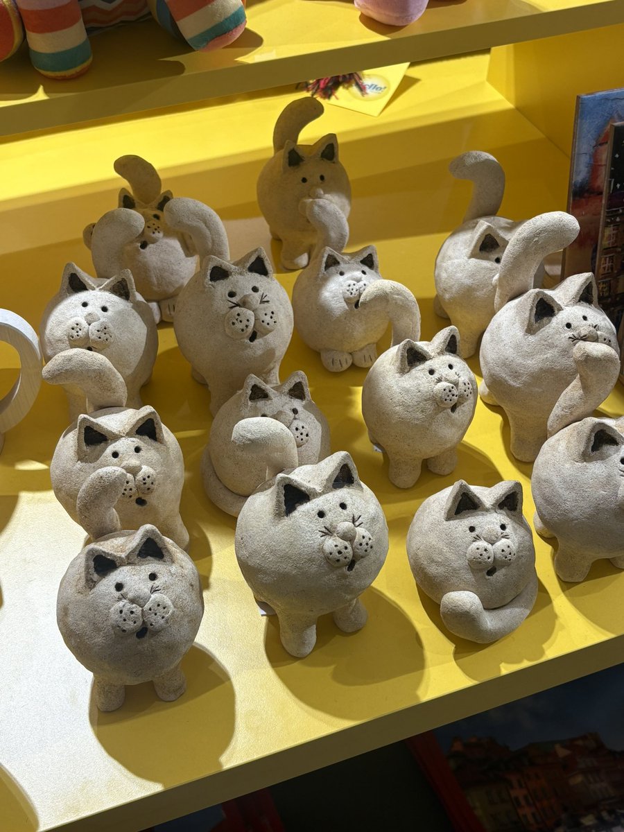 바르샤바에 왔어요
몽총해보이는 고양이 기념품 사고프다…