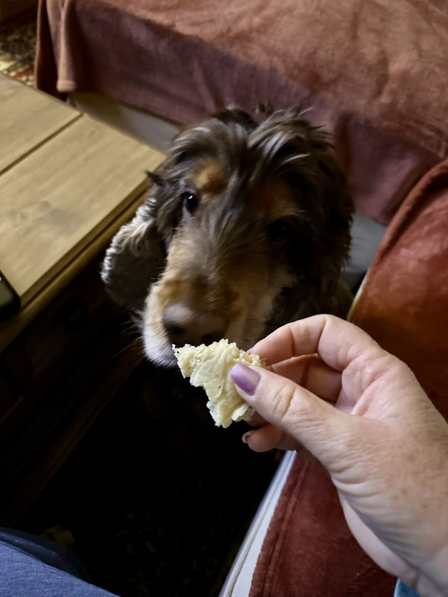 RobertLeCocker tweet media