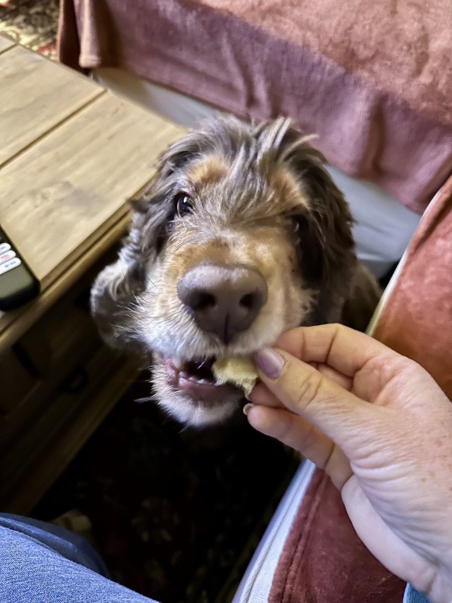 RobertLeCocker tweet media